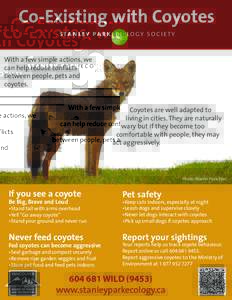 Co-Existing with Coyotes stanley park ecology society With a few simple actions, we can help reduce conflicts between people, pets and
