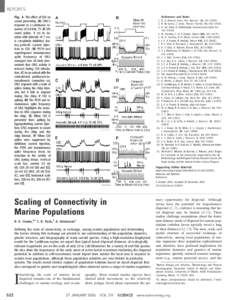 REPORTS Fig. 4. The effect of CDI on sound processing. (A) ON1’s response to a continuous sequence of 4.8 kHz, 75 dB SPL sound pulses, 8 ms in duration with intervals of 7 ms, is completely inhibited during periodic cu