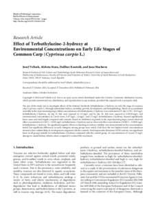 Effect of Terbuthylazine-2-hydroxy at Environmental Concentrations on Early Life Stages of Common Carp (Cyprinus carpio L.)