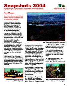 Snapshots 2004 Highlighting BLM projects that support the National Fire Plan. November 19  New Mexico