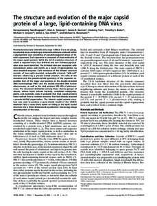 The structure and evolution of the major capsid protein of a large, lipid-containing DNA virus Narayanasamy Nandhagopal*, Alan A. Simpson*, James R. Gurnon†, Xiadong Yan*, Timothy S. Baker*, Michael V. Graves‡§, Jam