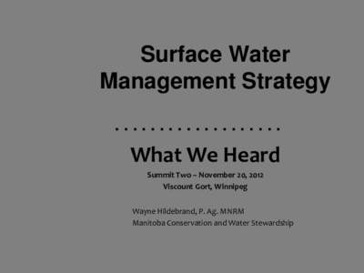 Surface Water Management Strategy ................... What We Heard Summit Two – November 20, 2012