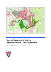 Oberrhein (Hess. Ried) mit Weschnitz Maßnahmensteckbrief - lokale Planungsebene HW - Brennpunkt: 16 Rüsselsheim - RÜ