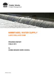 NIMMITABEL WATER SUPPLY LAKE WALLACE DAM PROGRESS REPORT 5 March 2015 for