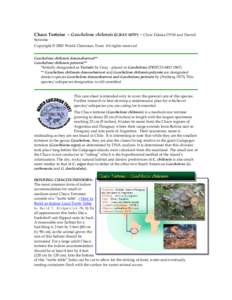 Chaco Tortoise  – Geochelone chilensis �AY 1870*�- Chris Tabaka DVM and Darrell Senneke