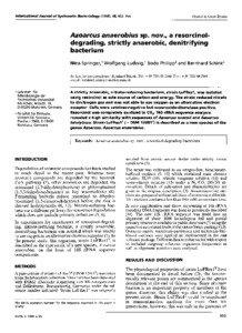 International Journal of Systematic Bacteriology (1998), 48, [removed]Printed in Great Britain