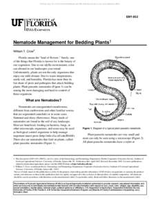 Archival copy: for current recommendations see http://edis.ifas.ufl.edu or your local extension office.  ENY-052 Nematode Management for Bedding Plants1 William T. Crow2