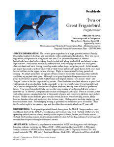 Microsoft Word - Great Frigate Bird NAAT final !.doc