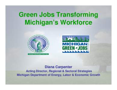 Green job / Social issues / Michigan / Rust Belt / Earth / Andy Levin / Employment / Green politics / Environment