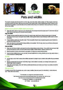 Pets and wildlife The majority of people share their lives with an animal: dogs, cats, birds, ferrets, rabbits, reptiles, etc. Pets are great companions and really are parts of the family. While we are very lucky to have