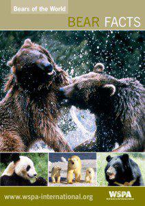 Fauna of Asia / Polar bear / Bear / Asian black bear / Brown bear / Bile bear / American black bear / Sloth bear / Tame bear / Bears / Zoology / Biology