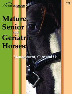 Equus / Fodder / Equine nutrition / Horse / Hay / Foal / Beet pulp / Hard keeper / Equidae / Horse management / Agriculture