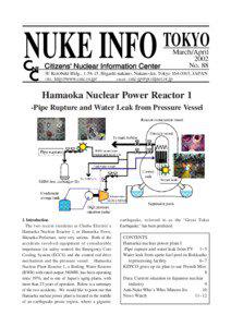 Hamaoka Nuclear Power Reactor 1 -Pipe Rupture and Water Leak from Pressure Vessel