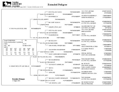 Canadian  LIMOUSIN Extended Pedigree