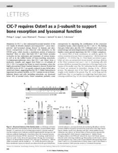 Vol 440|9 March 2006|doi:[removed]nature04535  LETTERS ClC-7 requires Ostm1 as a b-subunit to support bone resorption and lysosomal function Philipp F. Lange1, Lena Wartosch1, Thomas J. Jentsch1 & Jens C. Fuhrmann1