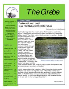 The Grebe Mission of The Friends of Deer Flat: The purpose of this group is to promote,