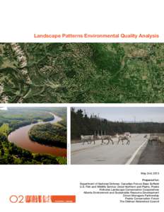Credit: Gord McKenna | Flickr  Landscape Patterns Environmental Quality Analysis May 2nd, 2013 Prepared for:
