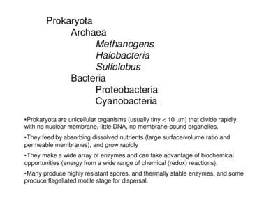 Prokaryota Archaea Methanogens