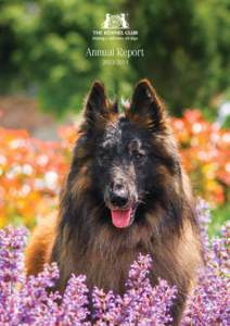 Annual Report 	1	 Message from the Chairman and Chief Executive of the Kennel Club 	4	Working for the General Improvement of Dogs 	5	Health and Welfare