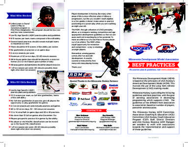 Mini-Mite Hockey  »»Utilize Learn to Skate/ Learn to Play as transition program to Mini-Mites (beginners). The program should be low cost