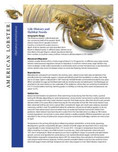 Homarus americanus  AMERICAN LOBSTER Life History and Habitat Needs