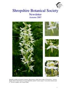 Shropshire Botanical Society Newsletter Autumn 2007 Butterfly-orchids at Llynclys Common. Main picture: whole flower spike of Platanthera xhybrida. Right: details of the flowers of Lesser Butterfly-orchid P. bifolia (top