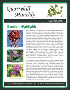 October 2014 ENewsletter copy