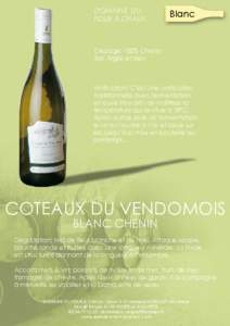 COTEAUX DU VENDOMOIS - Blanc Chenin