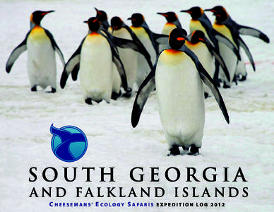 Geography of Antarctica / Falkland Islands / Cooper Island / Elsehul / Larsen Harbour / Drygalski Fjord / Antarctic / Grytviken / Shag Rocks /  South Georgia / Physical geography / Antarctic region / Watercraft
