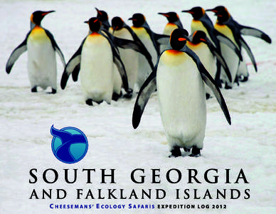 SOUTH GEORGIA  AND FALKLAND ISL A NDS C h e e s e m a n s’ e Co lo g y s a fa r i s  eXPeDiTion log 2012