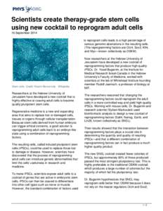 Scientists create therapy-grade stem cells using new cocktail to reprogram adult cells