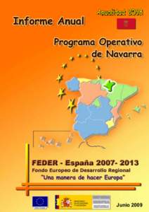 Junio 2009  INFORME 2008 DEL PROGRAMA OPERATIVO DE NAVARRA[removed]PROGRAMA OPERATIVO DE NAVARRA[removed]Objetivo competitividad regional y empleo