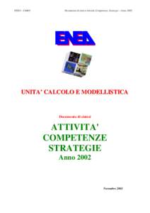 ENEA – CAMO  Documento di sintesi Attività, Competenze, Strategie – Anno 2002 UNITA’ CALCOLO E MODELLISTICA