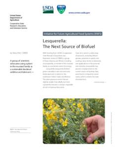 Lesquerella: The Next Source of Biofuel A group of scientists advocates using a plant in the mustard family as a sustainable biodiesel