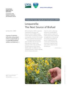 Lesquerella fendleri / Matter / Lesquerella / Cooperative State Research /  Education /  and Extension Service / Vegetable fats and oils / Biodiesel / Brassicaceae / Soft matter / Flora of the United States