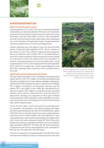 Physical geography / Evapotranspiration / Sudd / Potential evaporation / Nile / Water cycle / Evaporation / Desert / Climate / Water / Hydrology / Earth