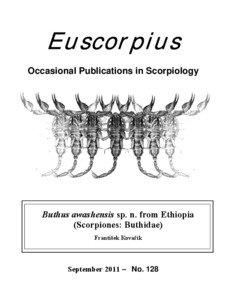 Scorpions / Arachnid / Pedipalp / Hottentotta / Metasoma / Euscorpius / Chelicerae / N Carinae / Phyla / Protostome / Zoology