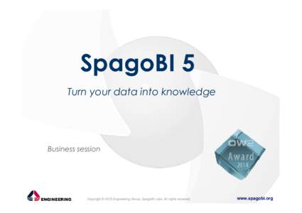 SpagoBI_USA_business_print