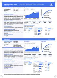 Vietinis strateginis fondas  „Aviva Lietuva“ valdomos gyvybės draudimo investavimo kryptysInvestavimo kryptis