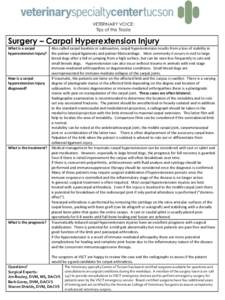 VETERINARY VOICE: Tips of the Trade Surgery – Carpal Hyperextension Injury What is a carpal hyperextension injury?