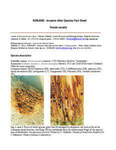 NOBANIS - Invasive Alien Species Fact Sheet