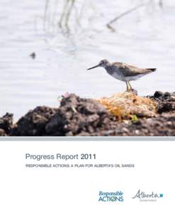 Progress Report 2011 Responsible Actions: A Plan for Alberta’s Oil Sands Alberta’s oil sands: The oil sands exist in three large deposits beneath 140,200 square kilometres of northern Alberta. This is a very large a