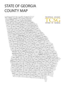 STATE OF GEORGIA COUNTY MAP TOWNS FANNIN