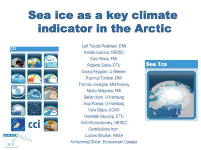 Sea ice as a key climate indicator in the Arctic Leif Toudal Pedersen, DMI Natalia Ivanova, NERSC Eero Rinne, FMI Roberto Saldo, DTU
