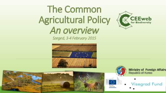 The Common Agricultural Policy An overview Szeged, 3-4 February 2015  CEEweb for Biodiversity