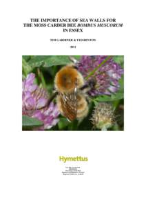 THE IMPORTANCE OF SEA WALLS FOR THE MOSS CARDER BEE BOMBUS MUSCORUM IN ESSEX TIM GARDINER & TED BENTON 2011