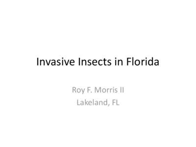 Invasive Insects in Florida Roy F. Morris II Lakeland, FL What is an Invasive Insect? • As defined by Thomas 2004