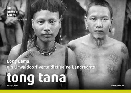bruno manser fonds fairness im tropenwald  Long Lamai –