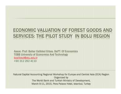 Bolu / Düzce / Total economic value / Non-timber forest products / Non-use value / Sustainability / Environment / Forestry