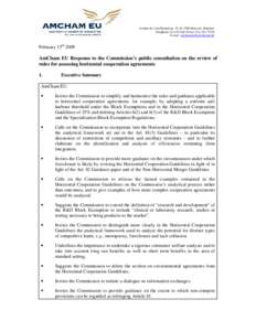 Vertical agreement / European Union / American Chamber of Commerce to the European Union / Merger guidelines / Block Exemption Regulation / Europe / Competition law / Business / Article 101 of the Treaty on the Functioning of the European Union